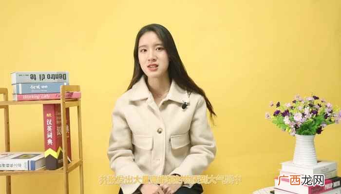 乌克兰切尔诺贝利核电站核子反应堆事故 切尔诺贝利事件