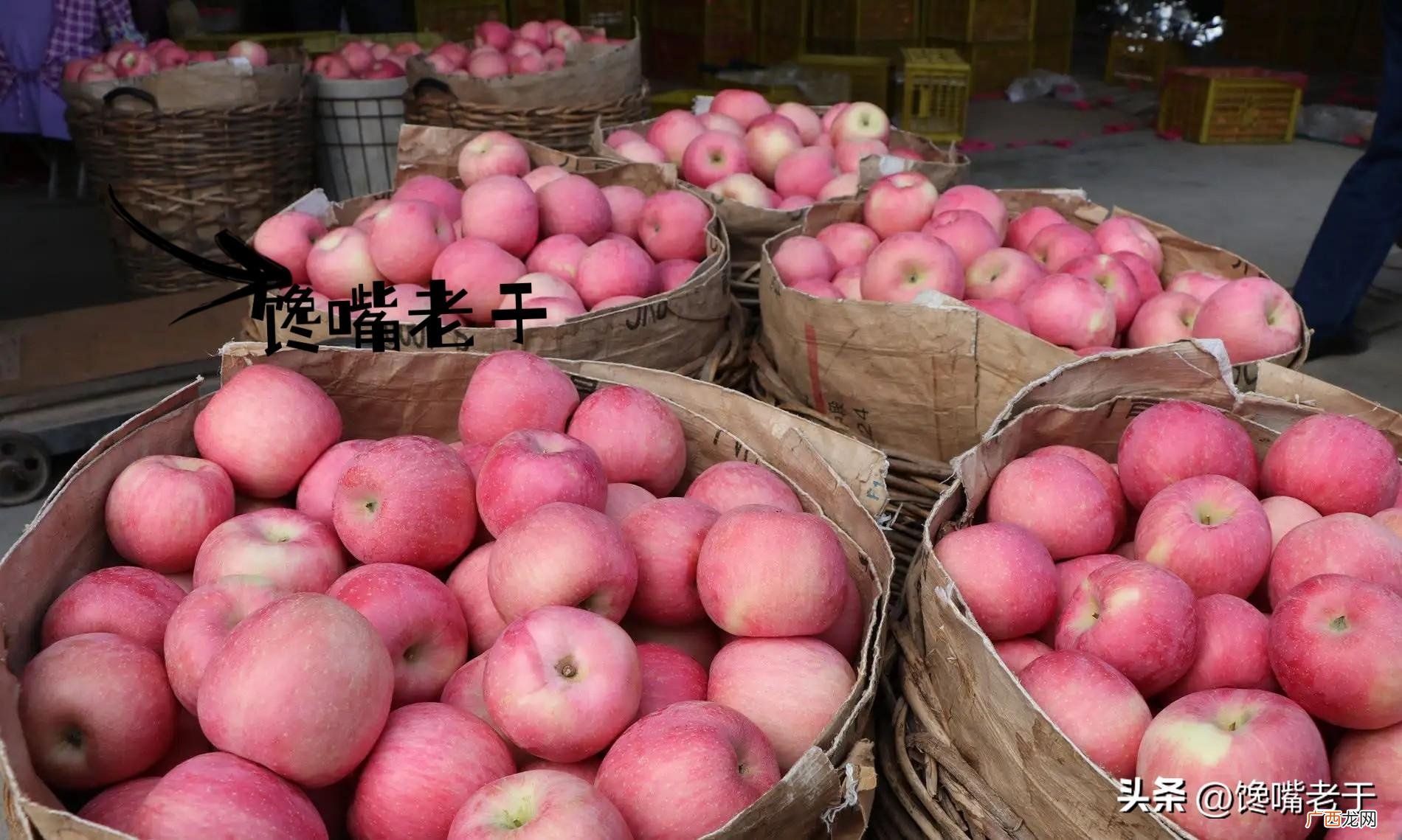 懂行的专挑这5个品种 苹果的品种有哪些