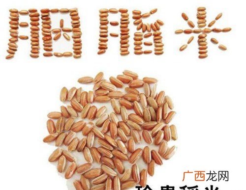 世界上最贵的大米是什么大米 中国最贵的大米多少钱一斤