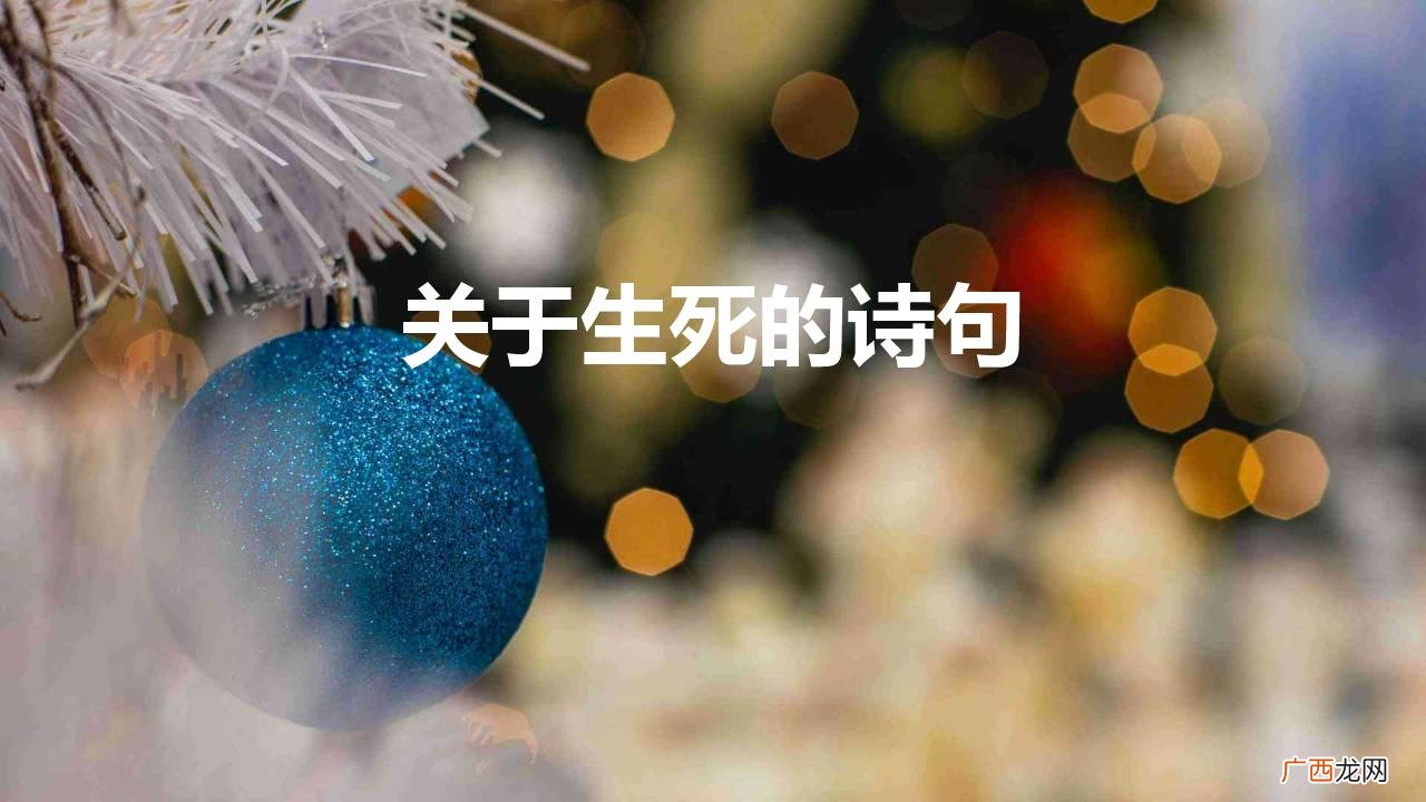 30句有关生死的诗词句子 关于生死的诗句