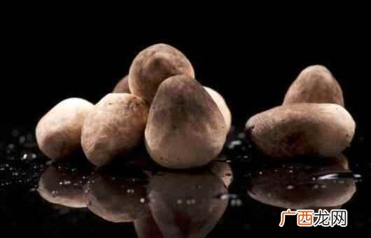 草菇不能和什么一起吃