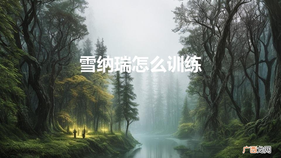 雪纳瑞怎么训练（雪纳瑞怎么训练大小便)
