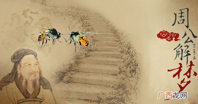 各类梦见蜜蜂征兆详解 梦见被蜜蜂追什么预兆