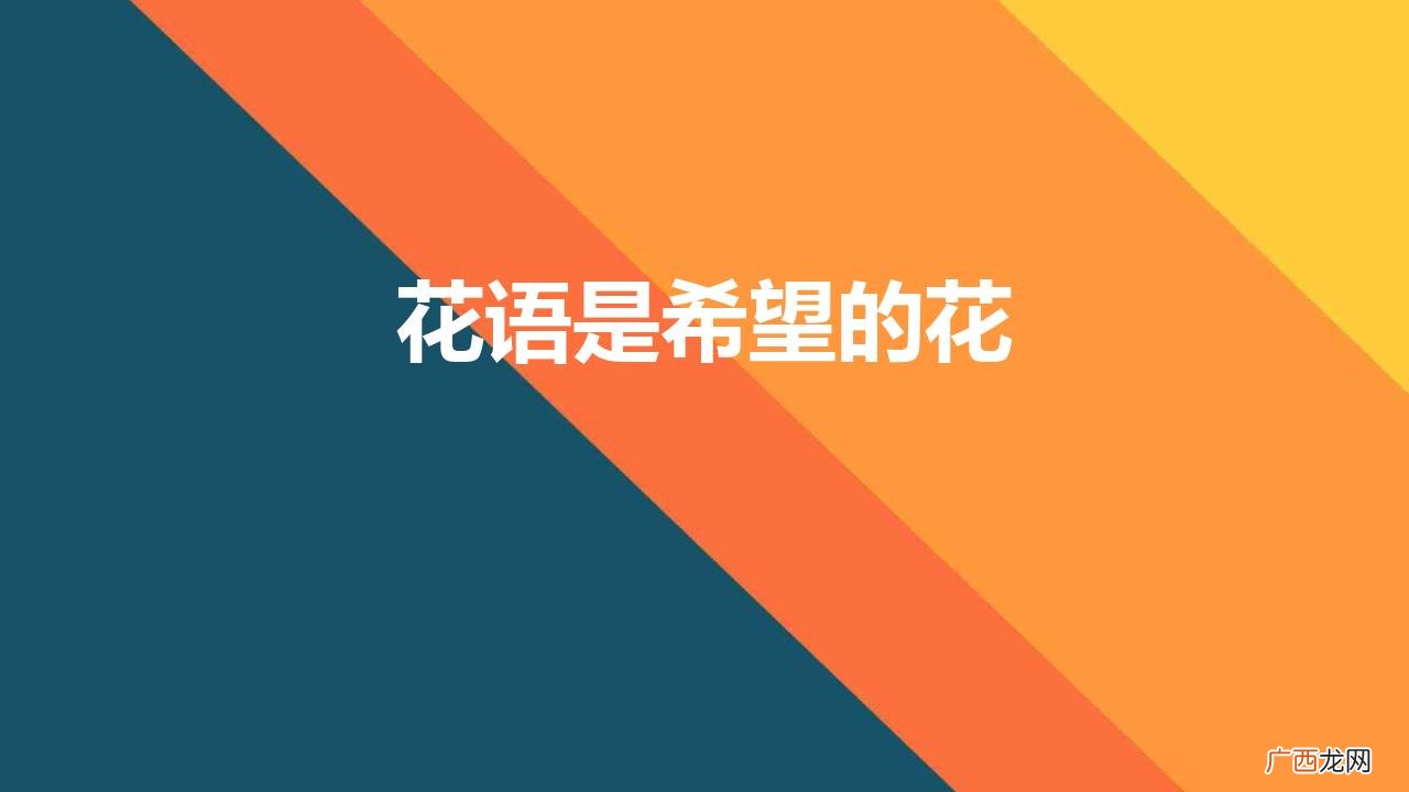 花语是希望的花