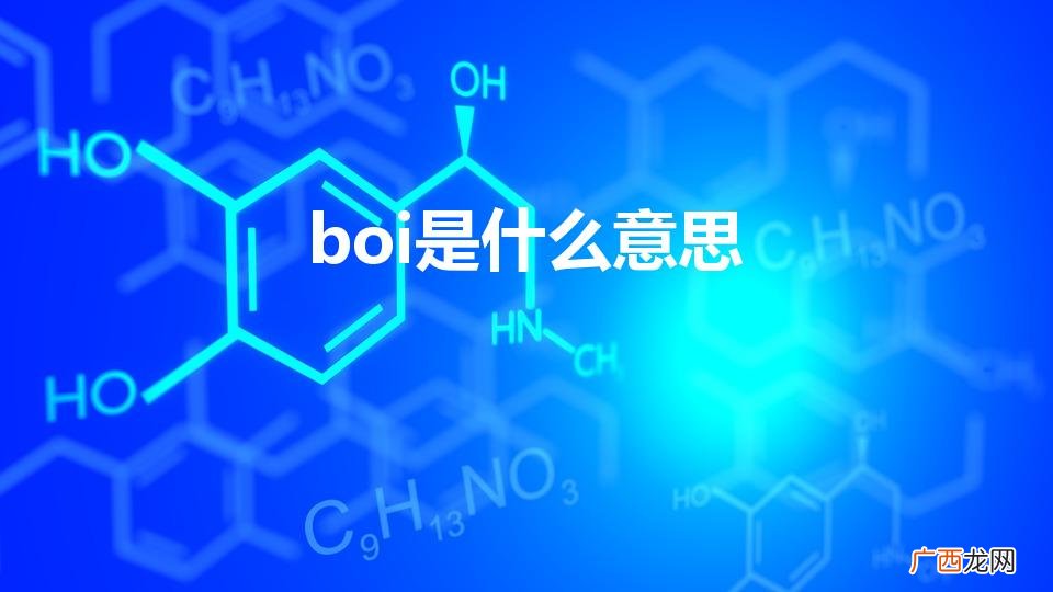 Babytheboi什么意思 boi是什么意思