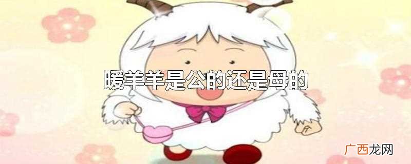 暖羊羊是公的还是母的啊 暖羊羊是公的还是母的