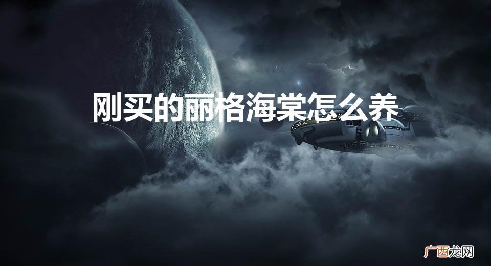 刚买的丽格海棠怎么养（刚买的丽格海棠怎么养护)