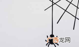 养殖红玫瑰蜘蛛注意事项 红玫瑰蜘蛛怎么养