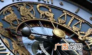属鼠的人适合养什么宠物好 属鼠的人适合养什么宠物