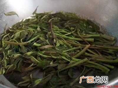 香椿芽怎样腌制好吃