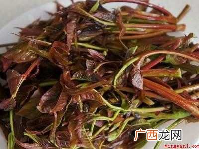 香椿芽怎样腌制好吃