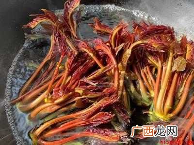 香椿怎么焯水