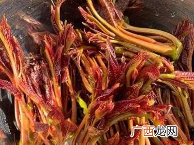 香椿怎么焯水