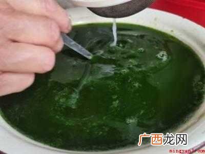 青草豆腐做法