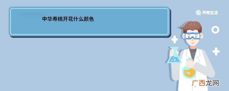 中华寿桃什么时候开花 中华寿桃开花什么颜色