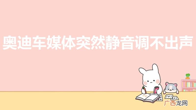 奥迪a3媒体静音调不出声音 奥迪车媒体突然静音调不出声