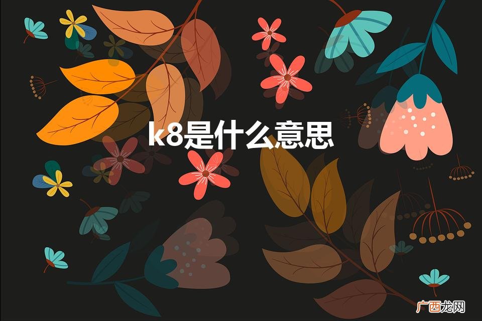 k8是什么意思啊 k8是什么意思