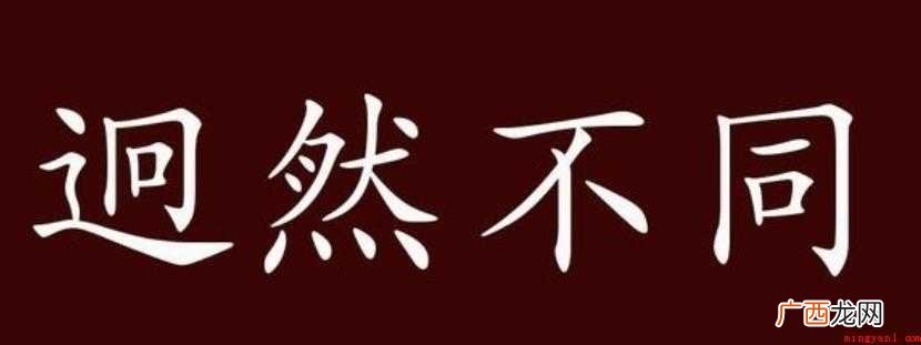 迥然不同的意思是什么