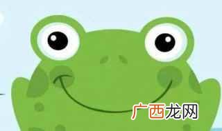 青蛙是生态灭虫的农作物益友 怎样保护小青蛙