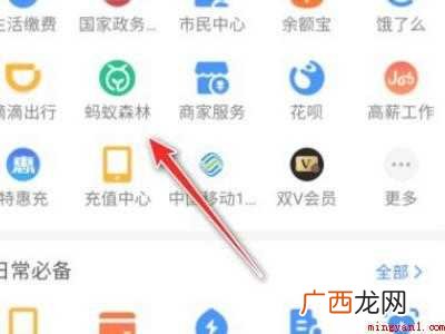 演示机型:Iphone 12 蚂蚁森林偷能量有表情怎么设置