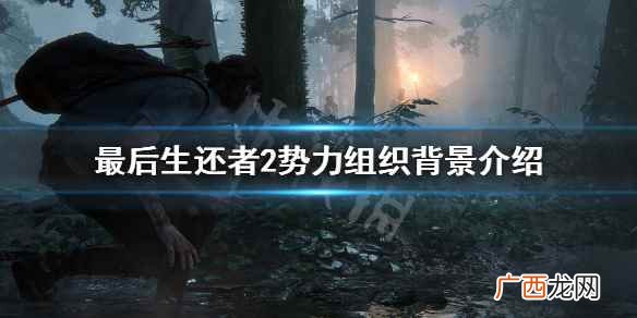 最后生还者2势力组织背景介绍 美国末日2势力怎么划分的