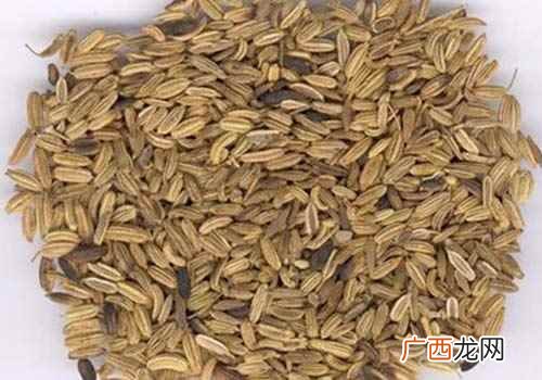 小茴香的作用及食用方法 小茴香的功效与作用及食用方法