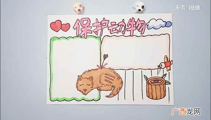 中间底部画一只动物的标语 保护动物手抄报