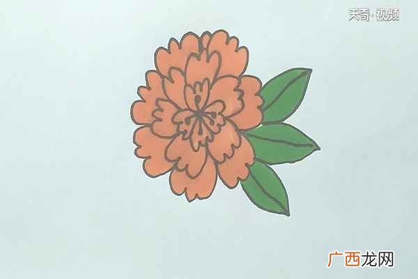我们先画出花中心的花瓣 花的简笔画