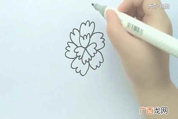 我们先画出花中心的花瓣 花的简笔画