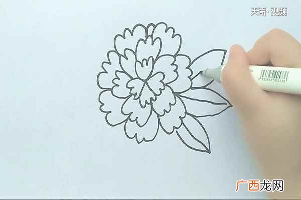 我们先画出花中心的花瓣 花的简笔画