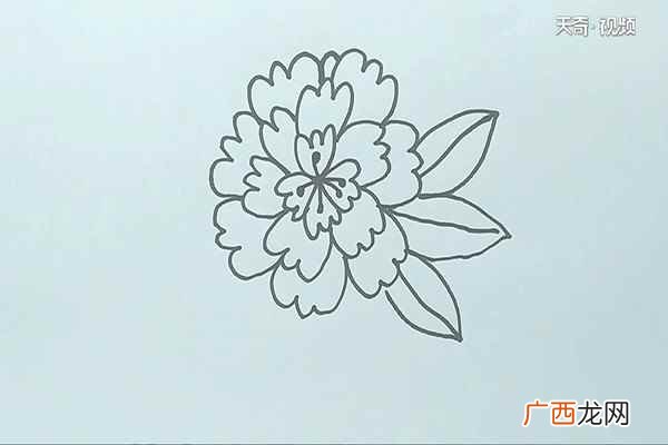 我们先画出花中心的花瓣 花的简笔画