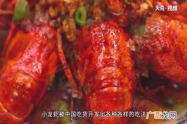 龙虾的做法大全 龙虾的做法
