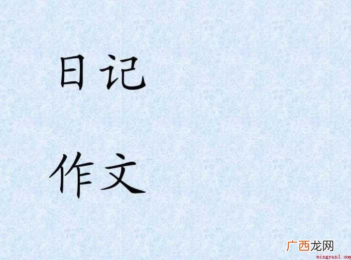 二年级日记怎么写