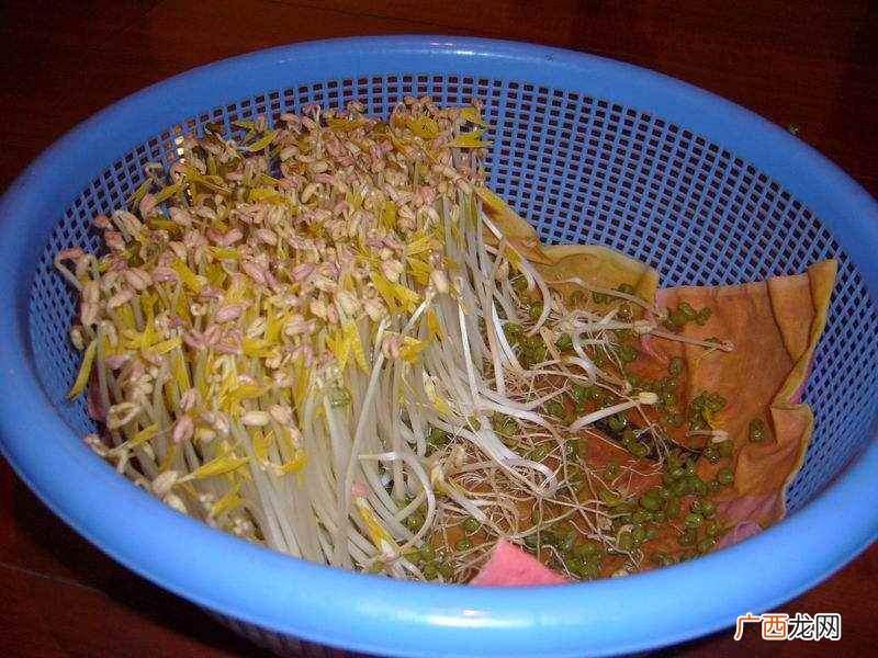 吃豆芽胀气吗