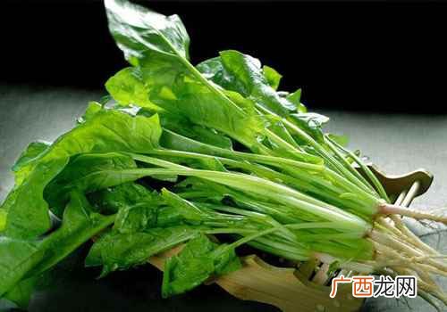 菠菜的营养价值及功效视频 菠菜的营养价值及功效