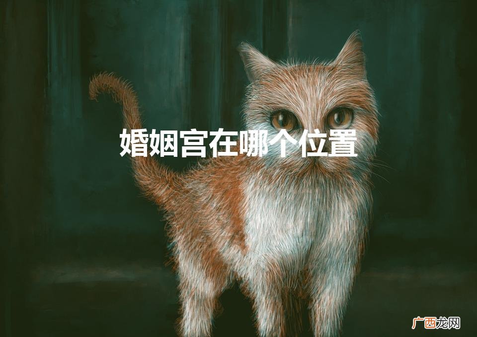 婚姻宫在哪个位置星盘 婚姻宫在哪个位置