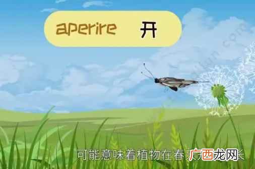 apr是几月