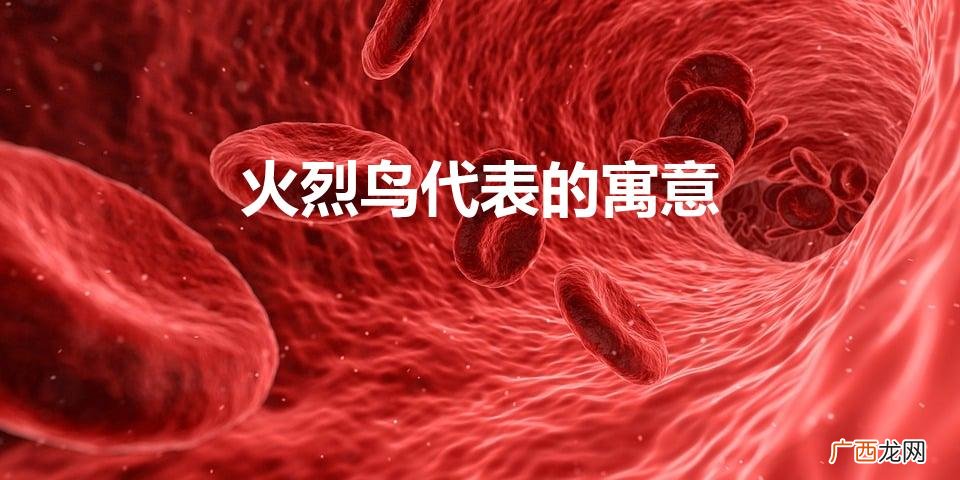 火烈鸟的花语和寓意 火烈鸟代表的寓意