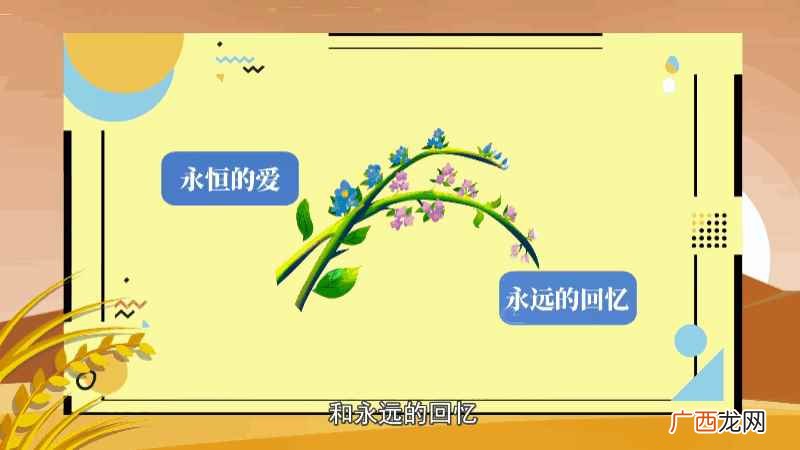 勿忘我的寓意为永恒的爱和永远的回忆 勿忘我花语