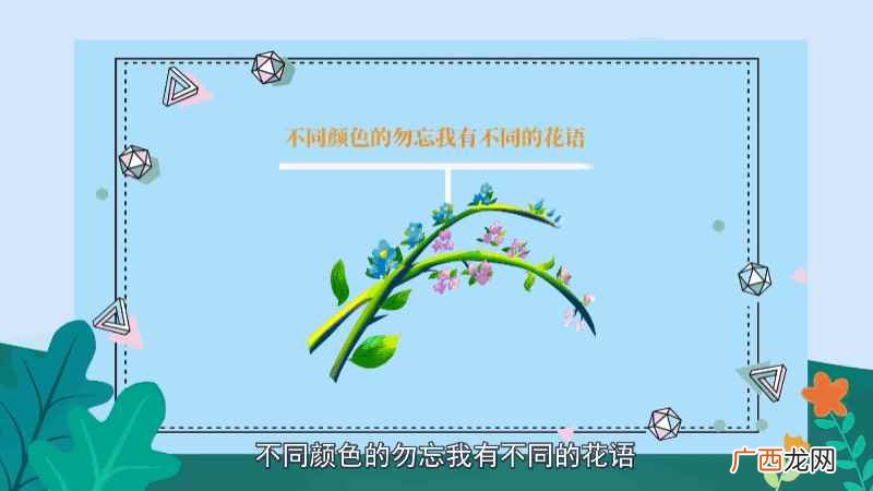勿忘我的寓意为永恒的爱和永远的回忆 勿忘我花语