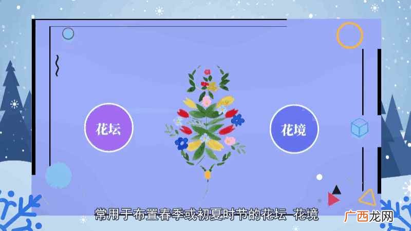 勿忘我的寓意为永恒的爱和永远的回忆 勿忘我花语