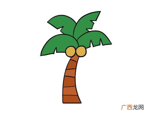 椰子树简笔画图片 椰子树简笔画