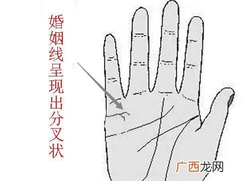 容易离婚的4种手相,建议收藏 夫妻必离婚的手相