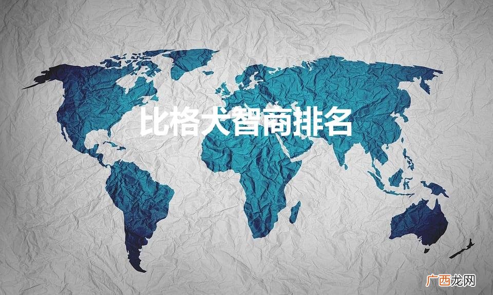 比格犬智商排名（小型犬智商排名)