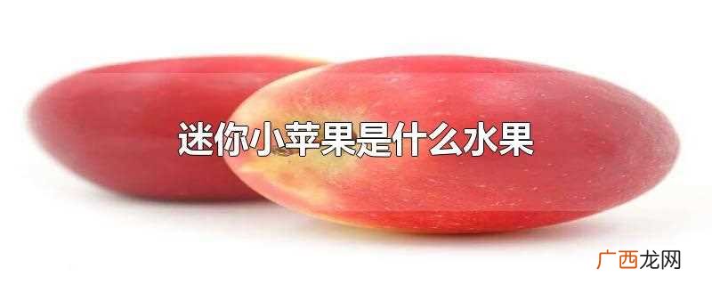 迷你小苹果是什么水果图片 迷你小苹果是什么水果