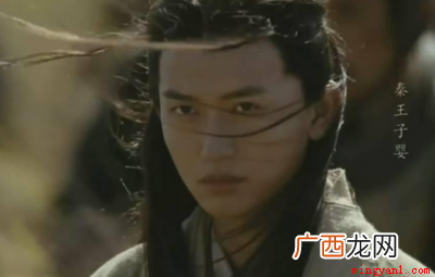 一个多月后项羽入咸阳城后,杀秦降王子婴,烧秦宫室,火三月不灭