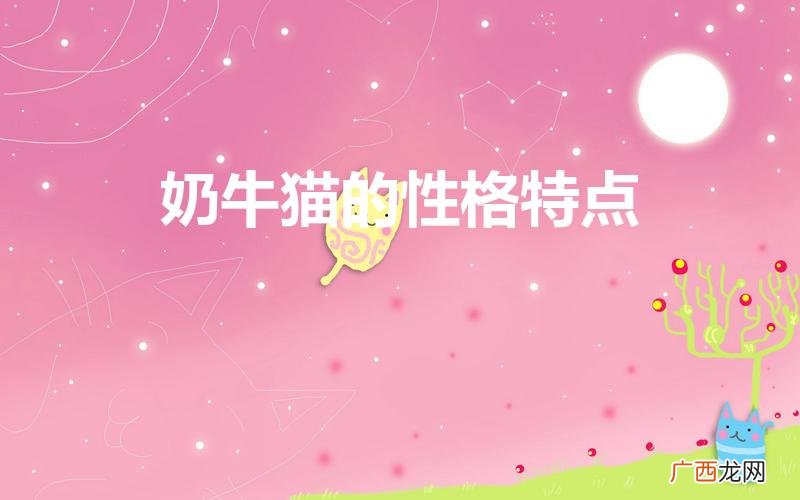 奶牛猫的智商相当于几岁 奶牛猫的性格特点