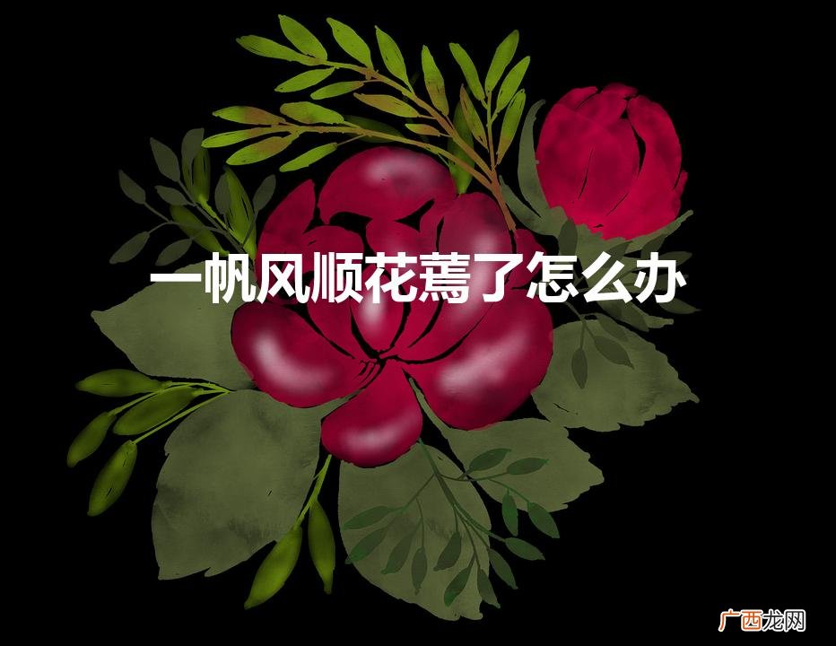 一帆风顺花冬天蔫了怎么办 一帆风顺花蔫了怎么办