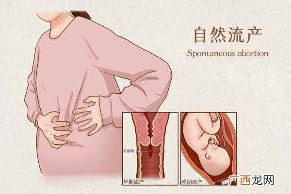 小产后吃什么有利于恢复