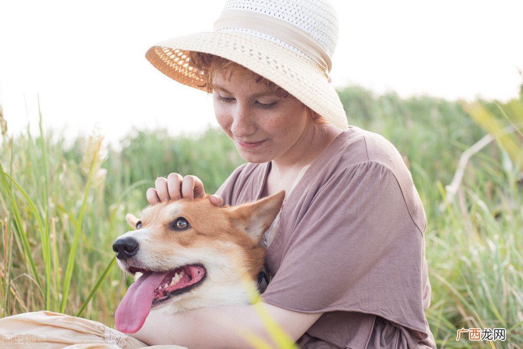 柯基犬价格大概多少钱一只幼犬 柯基犬价格大概多少钱一只